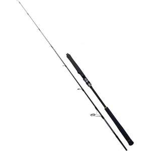 Seawolf 1.80M 400-800GR 2p Jig Olta Kamışı