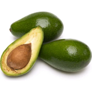 Fidan Paketim Zutano Avokado Ağacı