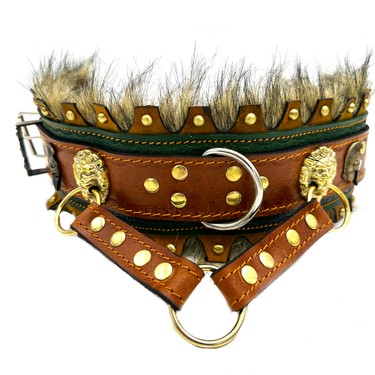 Tasmalar haqida blog