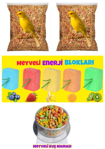 Meyve Aromalı Enerji Blok Lüx Karışım Kanarya Yemi 500 gr x 2 Paket