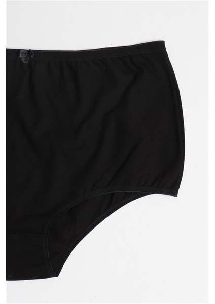 Kadın Büyük Beden Külot 3'lü Set 8807 Siyah fiyatları