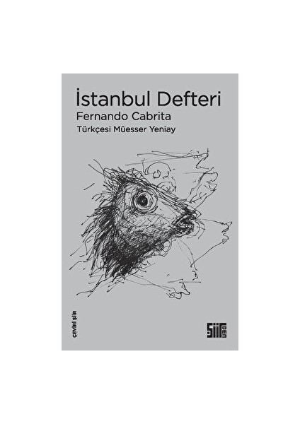 Istanbul Defteri - Fernando Cabrita