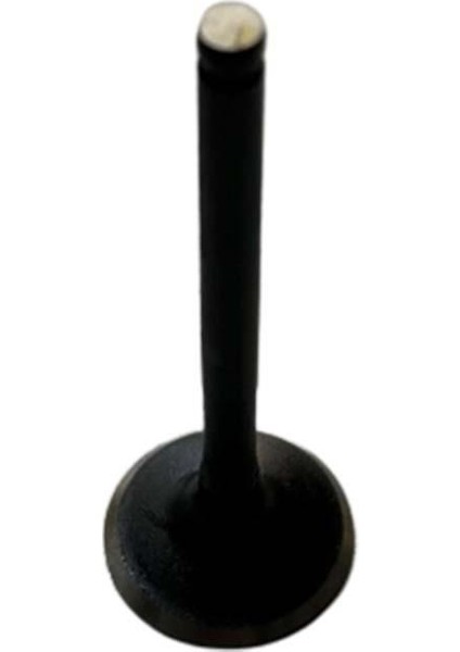 Yamaha Nouvo Emme Subabı Subap A