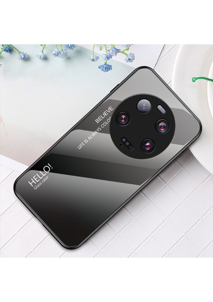 Xiaomi 13 Ultra Gradyan Temsilli Cam Telefon Kılıfı Pc+Tpu Çizgiye Karşı Kapak (Yurt Dışından) indirimleri