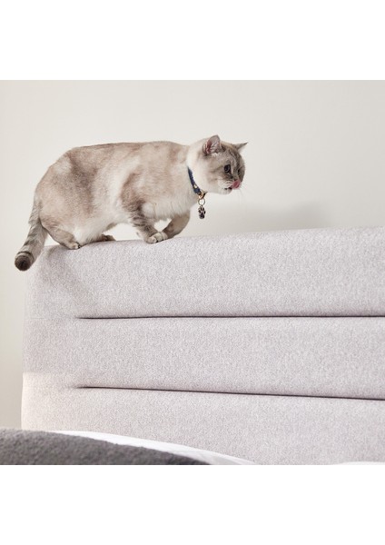 Bedding Supreme Pedic Baza, Başlık 2'li Set - Kum fiyatları