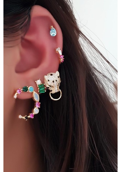 Tekli Ithal Kaplan Tasarım Gümüş Küpe fiyatları