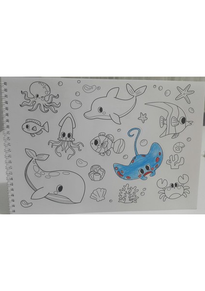 Yapışkanlı ( Stickerli) Boyama Kitabı 12^li Kuru Boya Hediyeli