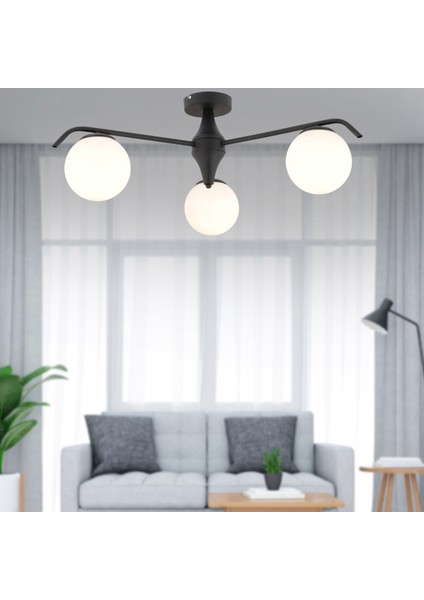 Diaspor 3'lü Siyah Beyaz Camlı Modern Plafonyer Genç Odası Yatak Odası Retro Salon Avize