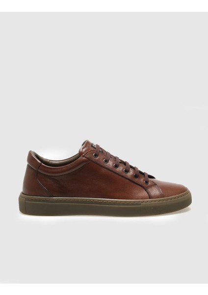 Deri Taba Bağcıklı Erkek Sneaker