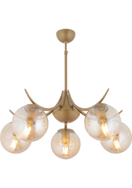 Germaine 5'li Yuvarlak Eskitme Bal Camlı Modern Oturma Odası Salon Avize