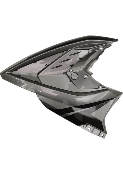 Bajaj Pulsar 200 RS Sol Yan Panel Siyah-Gri EURO4