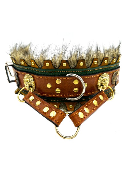 Haki Tüylü Deri Özel Tasarım Köpek Boyun Tasması