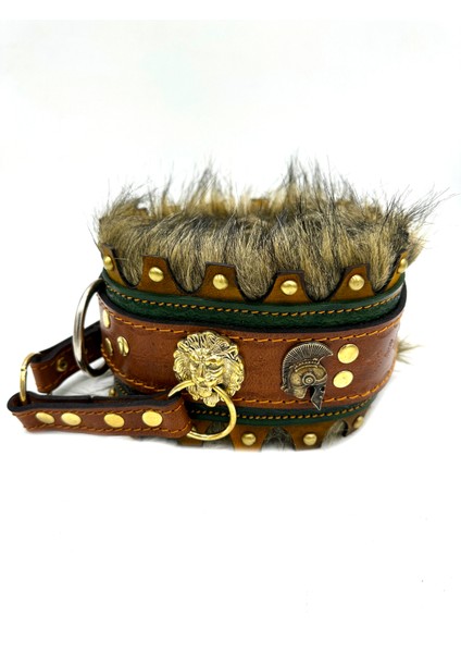 Haki Tüylü Deri Özel Tasarım Köpek Boyun Tasması fiyatları