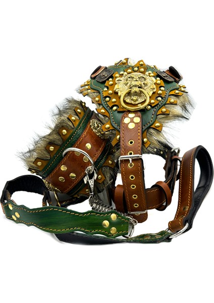 Haki Özel Tasarım 3'lü Köpek Tasması Deri Set Göğüslük, Boyunluk, Gezdirme