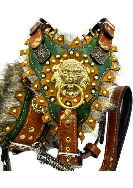 Haki Özel Tasarım 3'lü Köpek Tasması Deri Set Göğüslük, Boyunluk, Gezdirme fırsatları