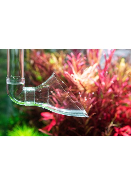 Aquarıo Neo Outlet M modelleri