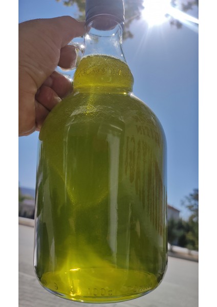 Erken Hasat Soğuk Sıkım Zeytinyağı 1 lt