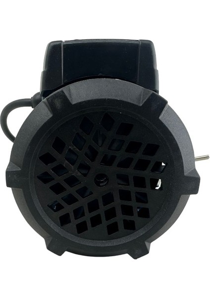 220 Volt 3/4 Inc Dıştan Çıkış Mazot Aktarım Pompası