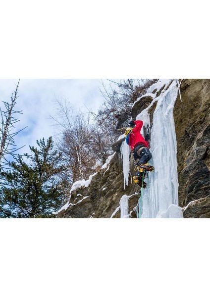 G22 Plus Crampomatic Evo Krampon (W/antibott) RAG22P.COME fiyatları