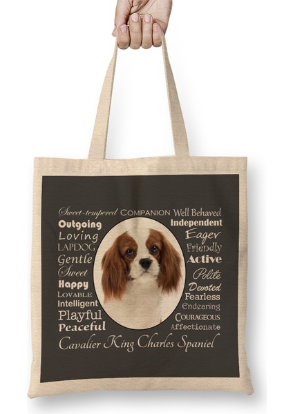 Cavalier King Charles Spaniel Spaniel Traits Bez Çanta Uzun Saplı