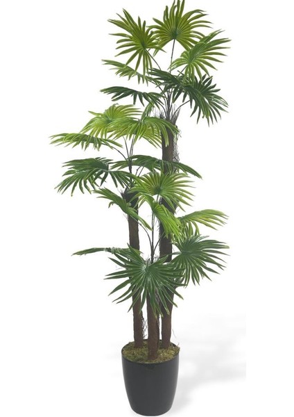 Yapay Ağaç Palmiye Fanpalm 3katlı 24YAPRAK 130*65CM