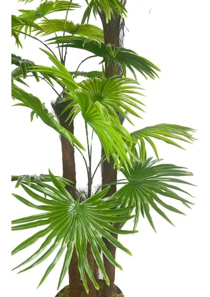 Yapay Ağaç Palmiye Fanpalm 3katlı 24YAPRAK 130*65CM