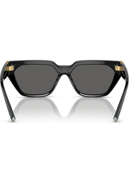 Tiffany&Co Tiffany&co. TF4205-U 8001/S4 modelleri