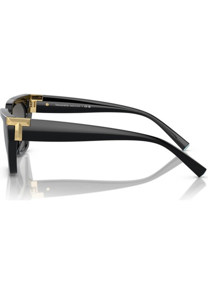 Tiffany&Co Tiffany&co. TF4205-U 8001/S4 fırsatları