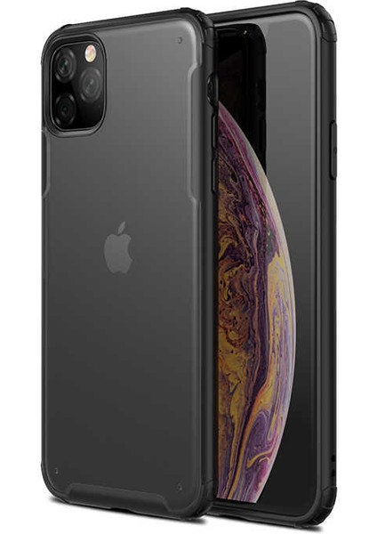 iPhone 11 Pro Uyumlu Venga Serisi Mat Arka Yüzeyli Renkli Kenar Premium Kılıf