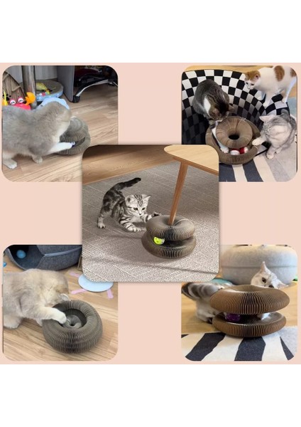Sihirli Kedi Oyun Kordonu Çıngıraklı Kedi Tırmalama Kartonu İnteraktif Kedi Oyuncağı fiyatları