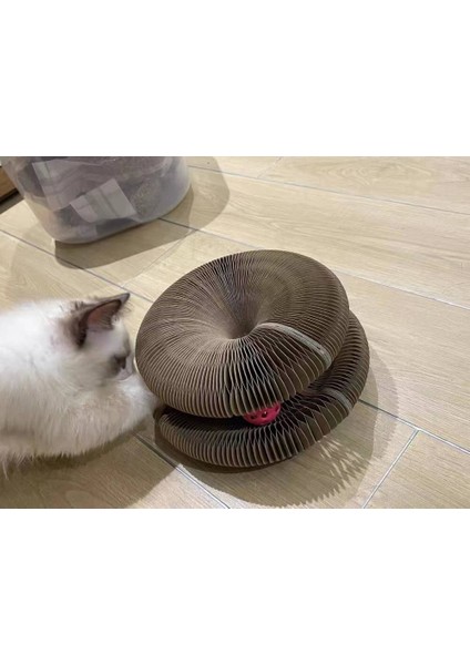Sihirli Kedi Oyun Kordonu Çıngıraklı Kedi Tırmalama Kartonu İnteraktif Kedi Oyuncağı modelleri