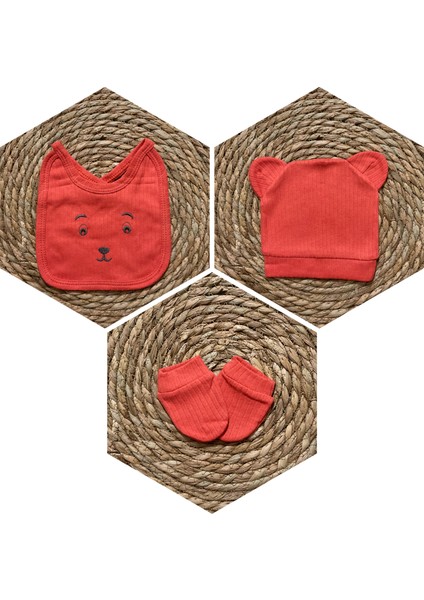 Yeni Sezon 5 Parça Erkek Ayı Aplikeli Yeni Doğan Hastane Çıkış Zıbın Seti modelleri