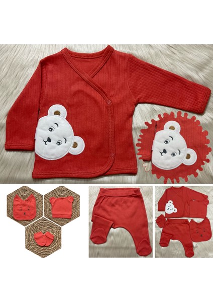 Yeni Sezon 5 Parça Erkek Ayı Aplikeli Yeni Doğan Hastane Çıkış Zıbın Seti indirimleri