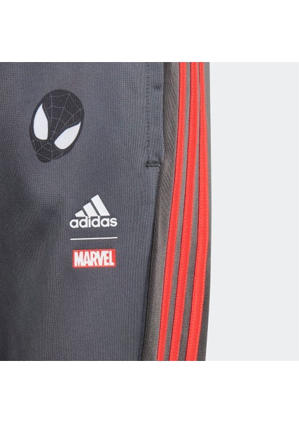 x Marvel Spider Man Çocuk Eşofman Altı fırsatları