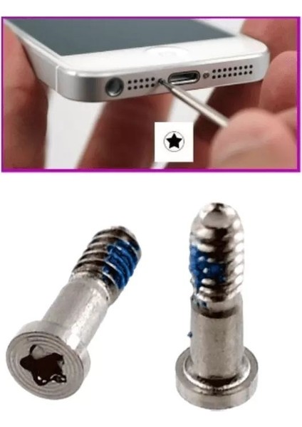 iPhone 5s Alt Vida 2'li Set Silver