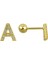 ÇLK Accessories Gold Harf Piercing - A Harfpiercing 1