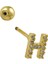 ÇLK Accessories Gold Harf Piercing - H Harfpiercing 5