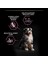 Proplan Medium Puppy Somon Köpek 12KG Sensitive Skin Somonlu Yavru Köpek Maması 3