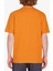 Lintell Bsc 1 A3512314.SAF 2