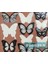 Else Nippon 18 Adet 3D Duvar Sticker Çift Kanatlı Kelebek Pvc Wall Sticker Butterfly 4