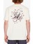Lintell Bsc 2 A3512315.WCG 1