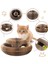 Sihirli Kedi Oyun Kordonu Çıngıraklı Kedi Tırmalama Kartonu İnteraktif Kedi Oyuncağı 1