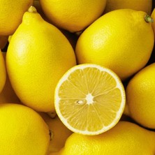 Fidan Paketim Kütdiken Limon Ağacı