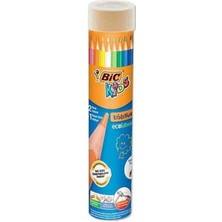 Bic Evolution Kuru Boya Kalemi 12+1