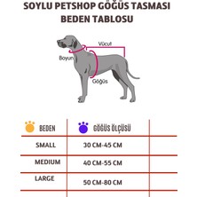 Soylu Pet Jaune Isme Özel Desenli Köpek Göğüs Tasması ve Gezdirme Kayışı, Jaune Isimli Tasma