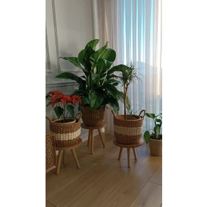 3'lü Ahşap Ayaklı Çiçeklik Saksılık Standı Dekoratif Yan Sehpa Seti 25 cm Çap Atlantik Çam