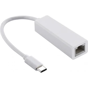 Blue Wings Type-C To USB Lan Usb-C Ethernet Adaptörü Usb-C To RJ45