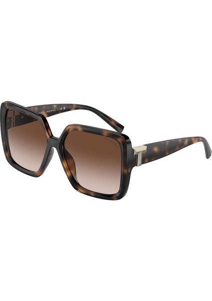 Güneş Gözlüğü TF4206-U 8015/3B