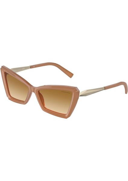 Güneş Gözlüğü TF4203 8374/3B