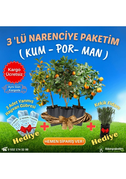 3 Lü Narenciye Paketim ( Kum - Por - Man )